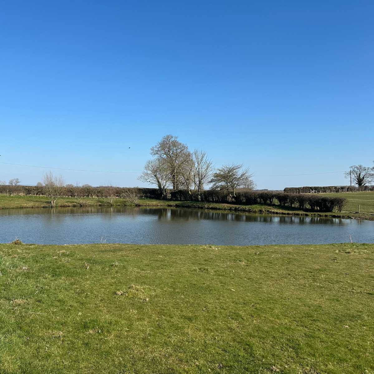 field